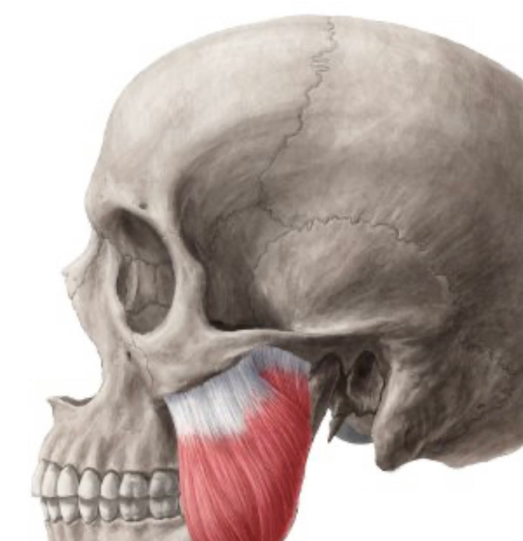 Advanced Botulinum Toxin online