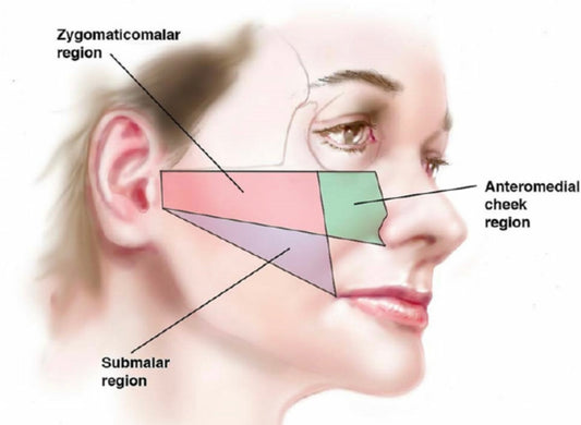 Advanced dermal filler online masterclass