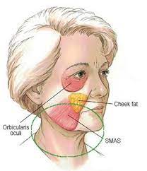 Jowl Toxin Masterclass