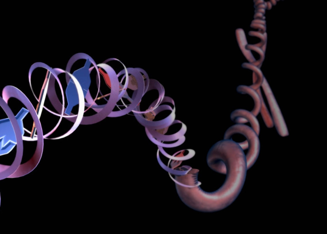 Polynucleotides online